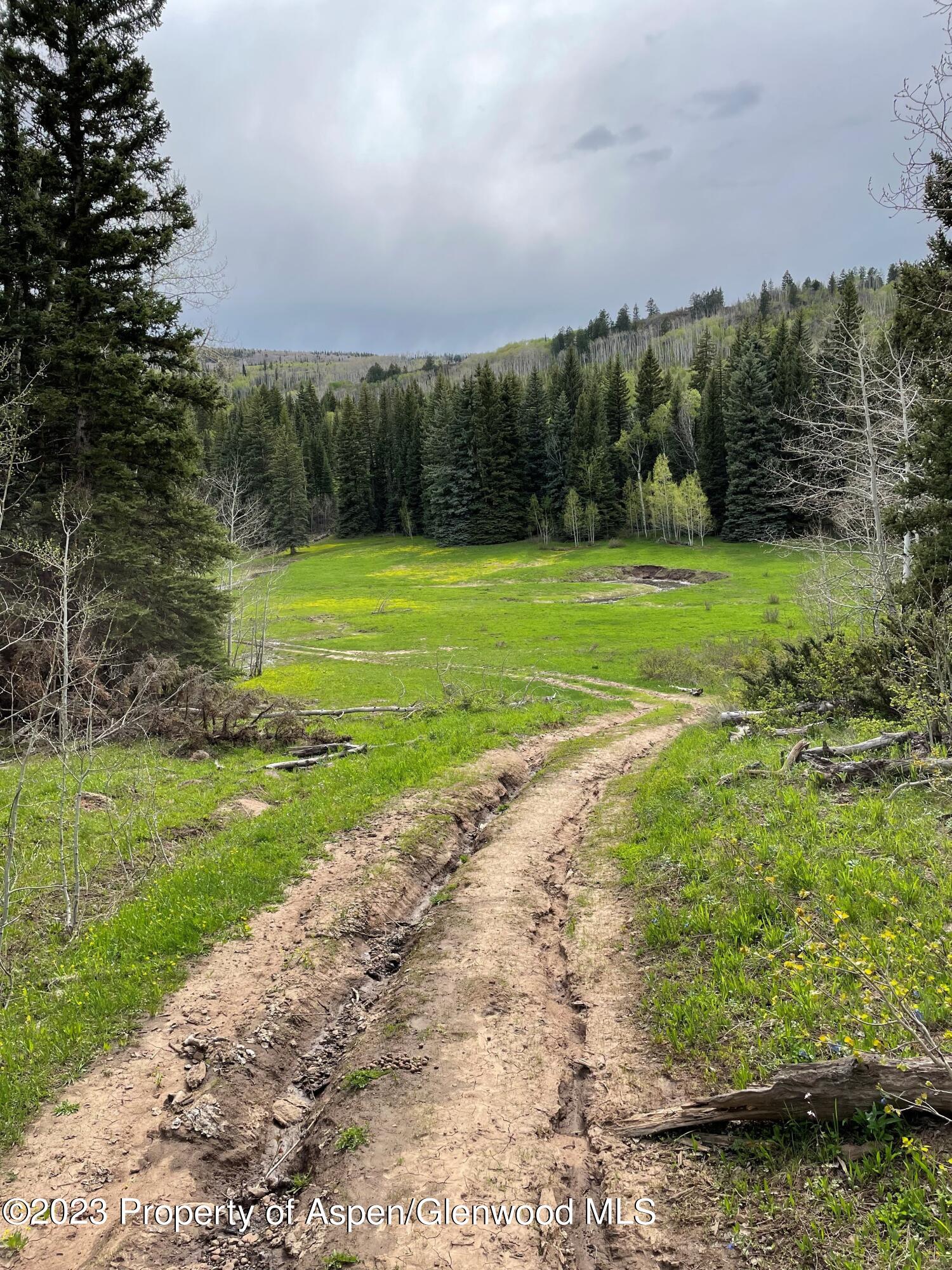 Tbd Black Diamond Mine Road Glenwood Springs CO 81601