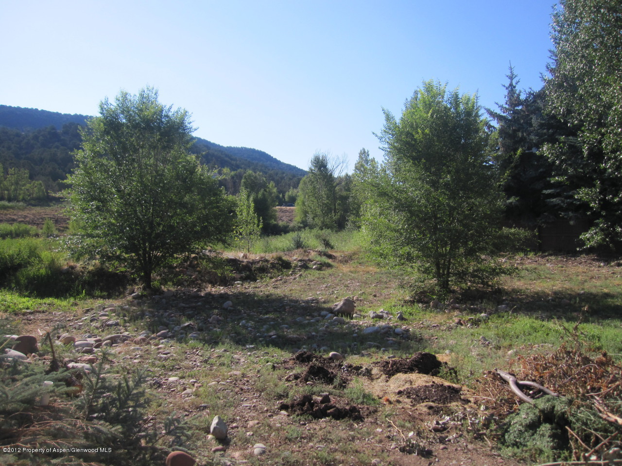 425 Meadow Court Basalt CO 81621