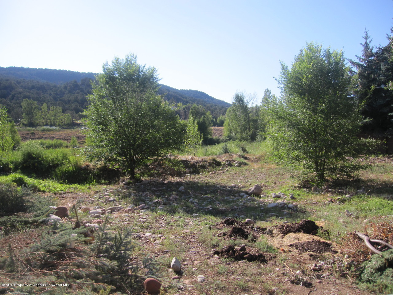 425 Meadow Court Basalt CO 81621