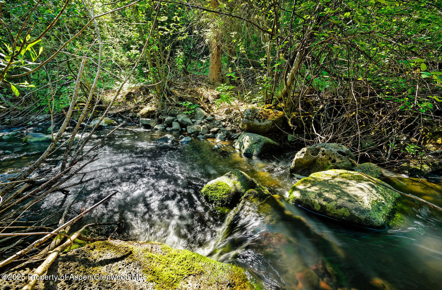 2711 2833 County Road 117 Glenwood Springs CO 81601