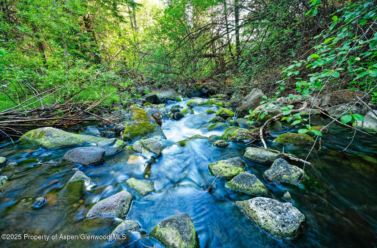 2711 2833 County Road 117 Glenwood Springs CO 81601