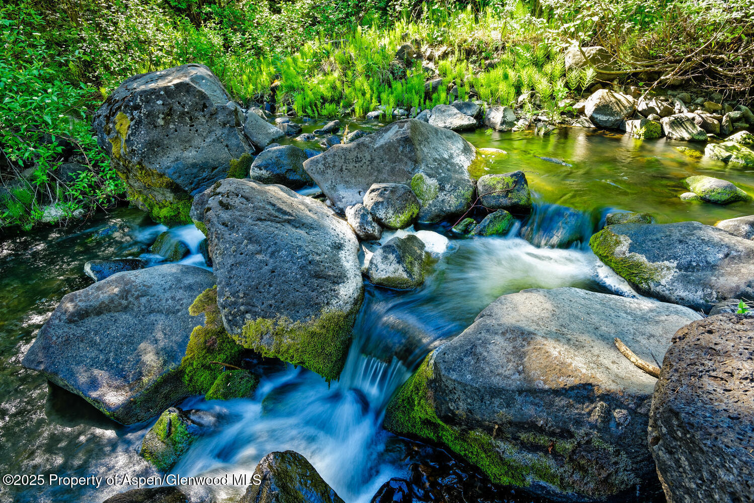 2711 2833 County Road 117 Glenwood Springs CO 81601