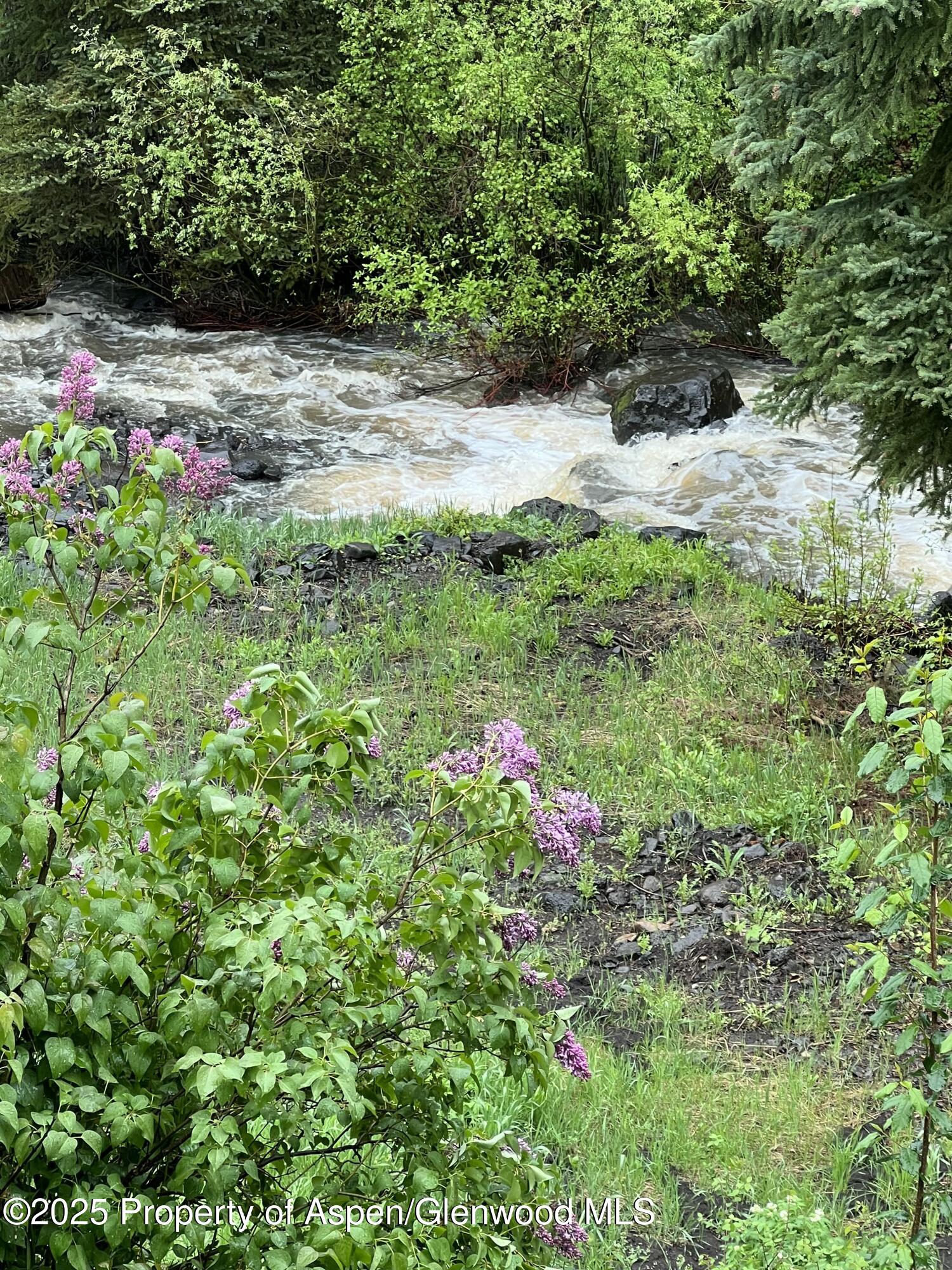 2711 2833 County Road 117 Glenwood Springs CO 81601