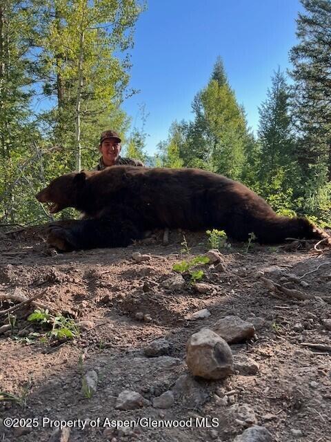 2711 2833 County Road 117 Glenwood Springs CO 81601