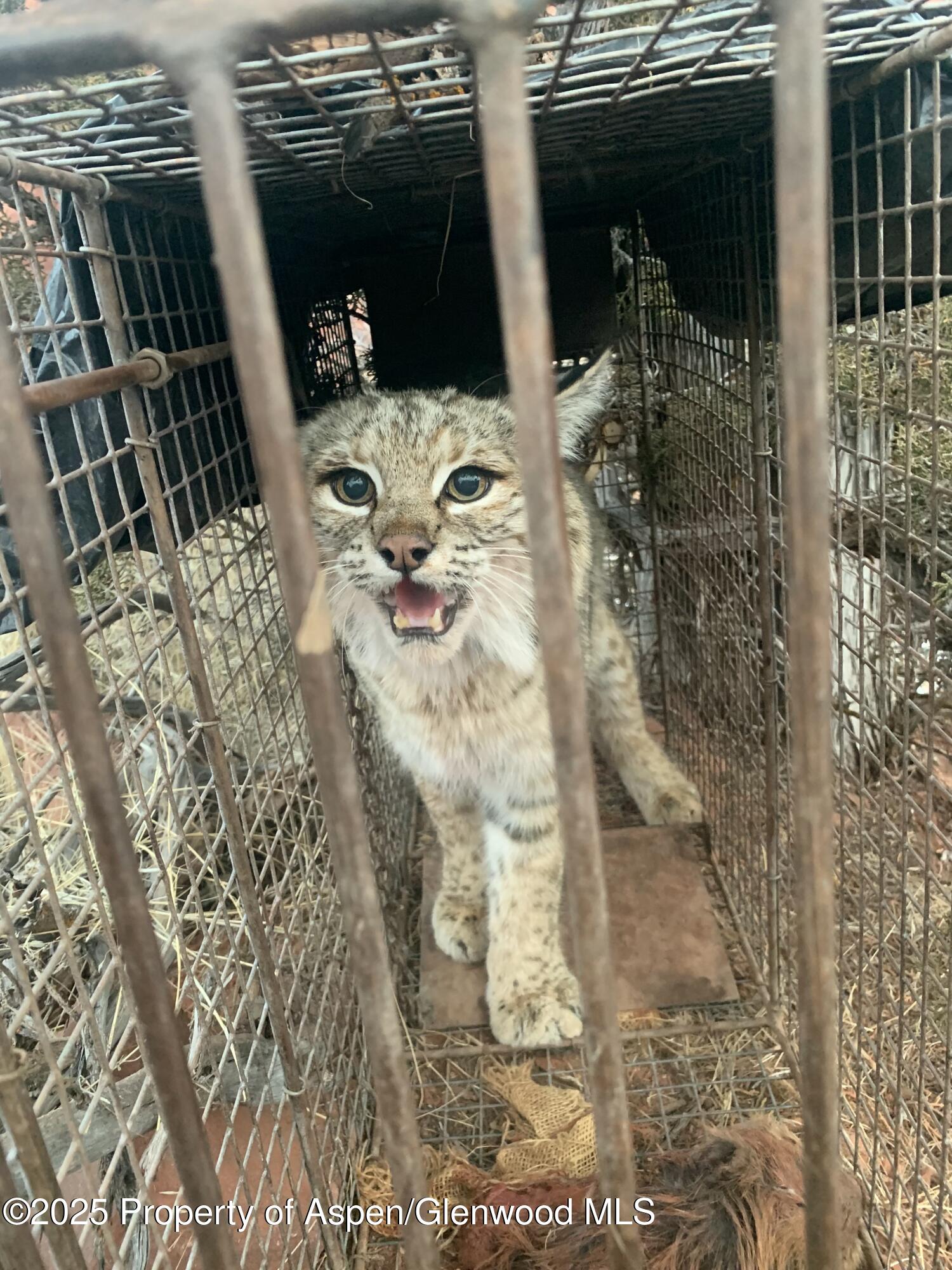 2711 2833 County Road 117 Glenwood Springs CO 81601