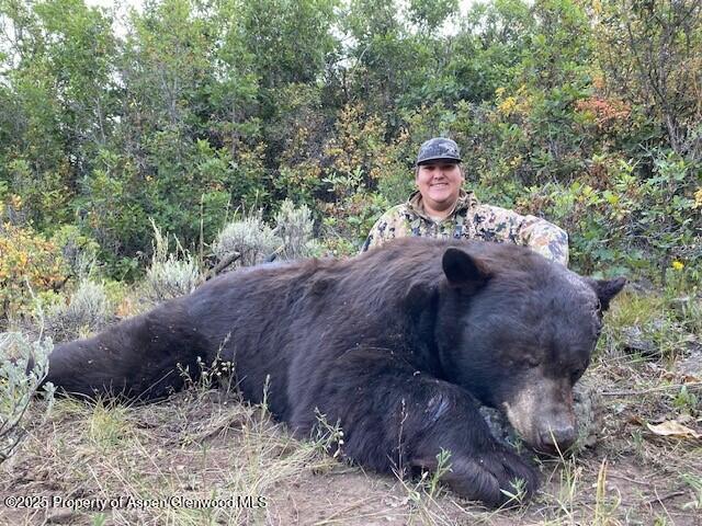 2711 2833 County Road 117 Glenwood Springs CO 81601