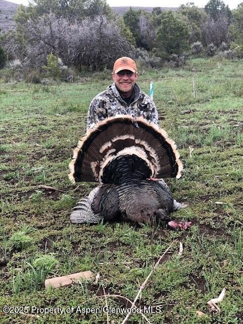 2711 2833 County Road 117 Glenwood Springs CO 81601