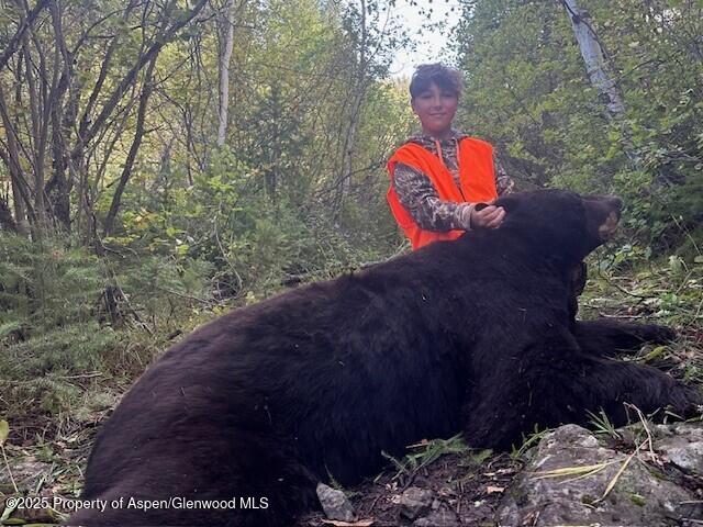 2711 2833 County Road 117 Glenwood Springs CO 81601