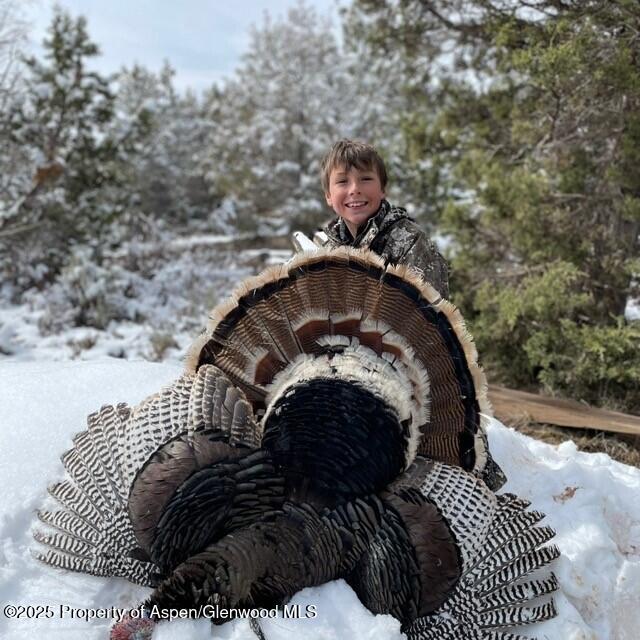 2711 2833 County Road 117 Glenwood Springs CO 81601