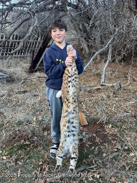 2711 2833 County Road 117 Glenwood Springs CO 81601