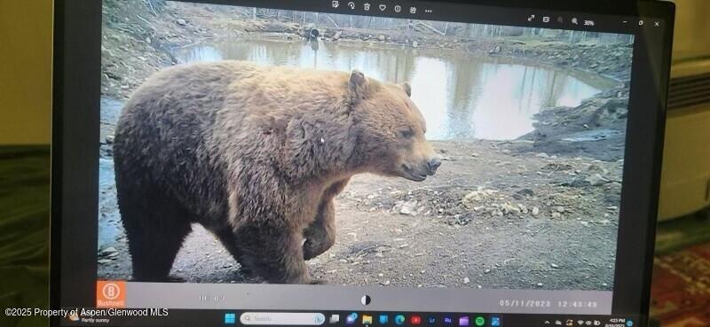 2711 2833 County Road 117 Glenwood Springs CO 81601