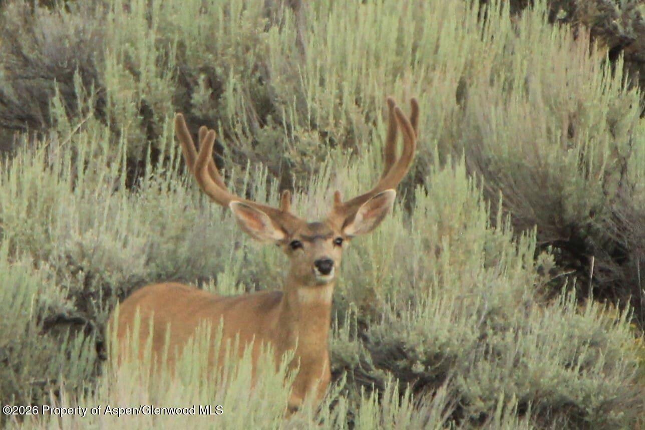 Tbd Highway 40 Craig CO 81625