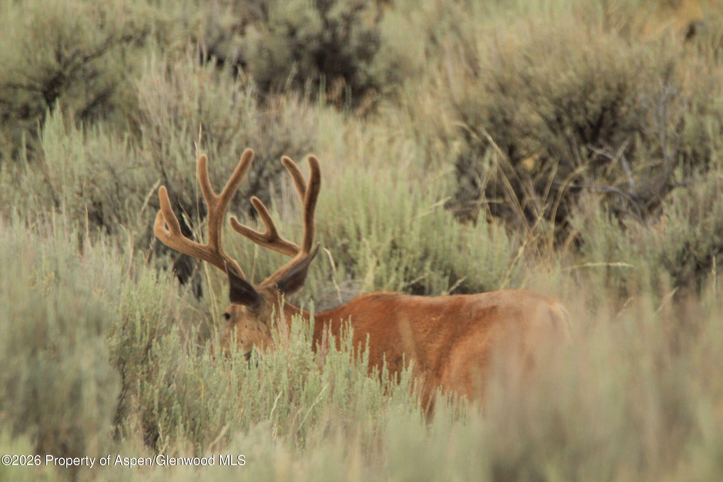 Tbd Highway 40 Craig CO 81625