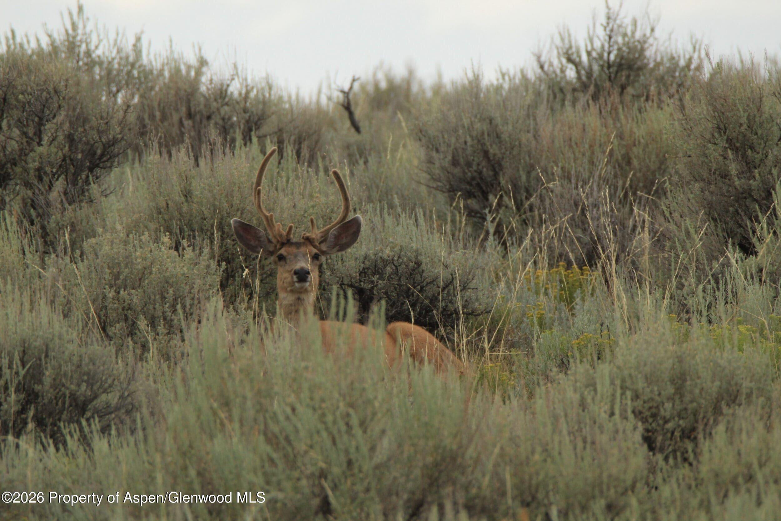 Tbd Highway 40 Craig CO 81625