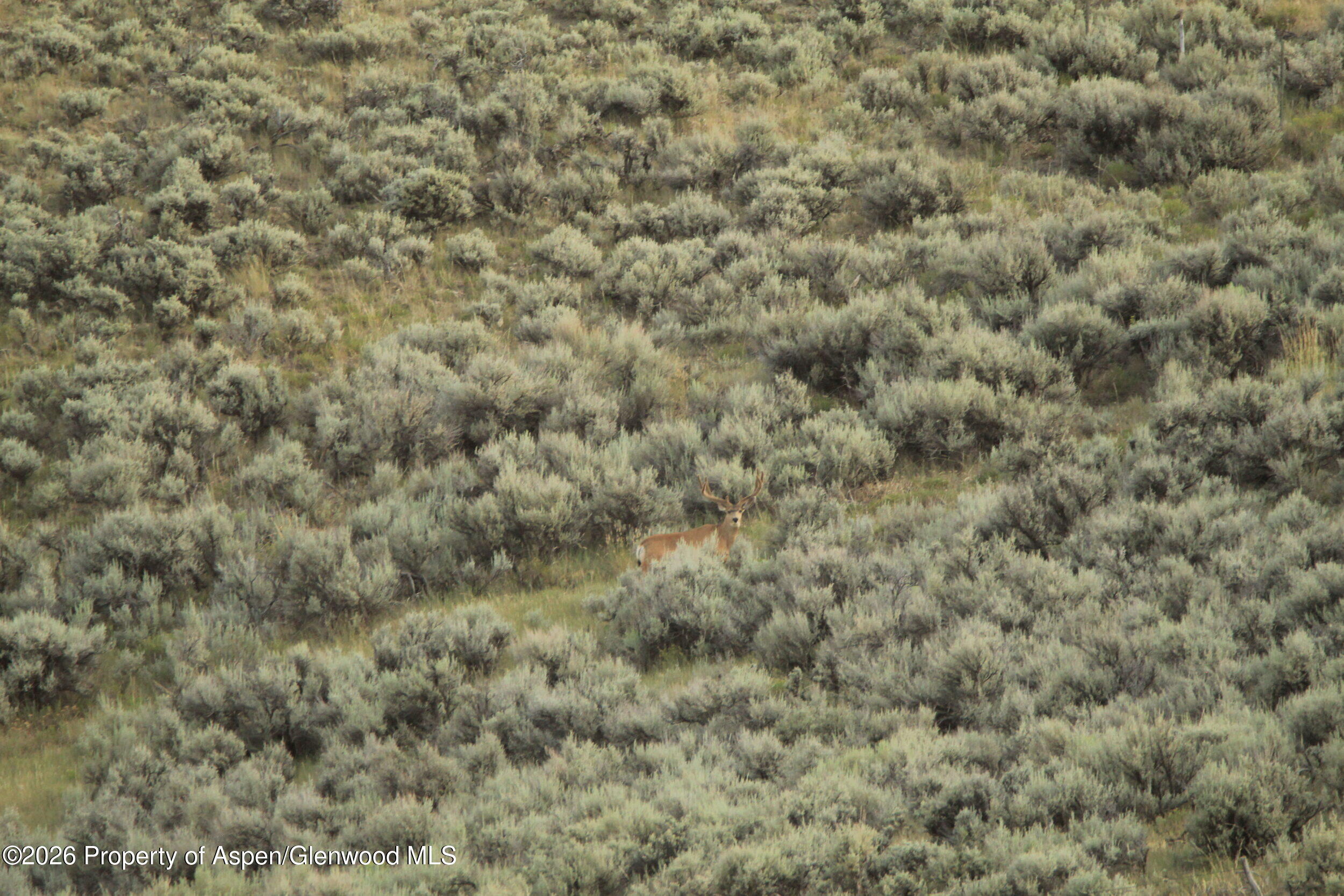 Tbd Highway 40 Craig CO 81625