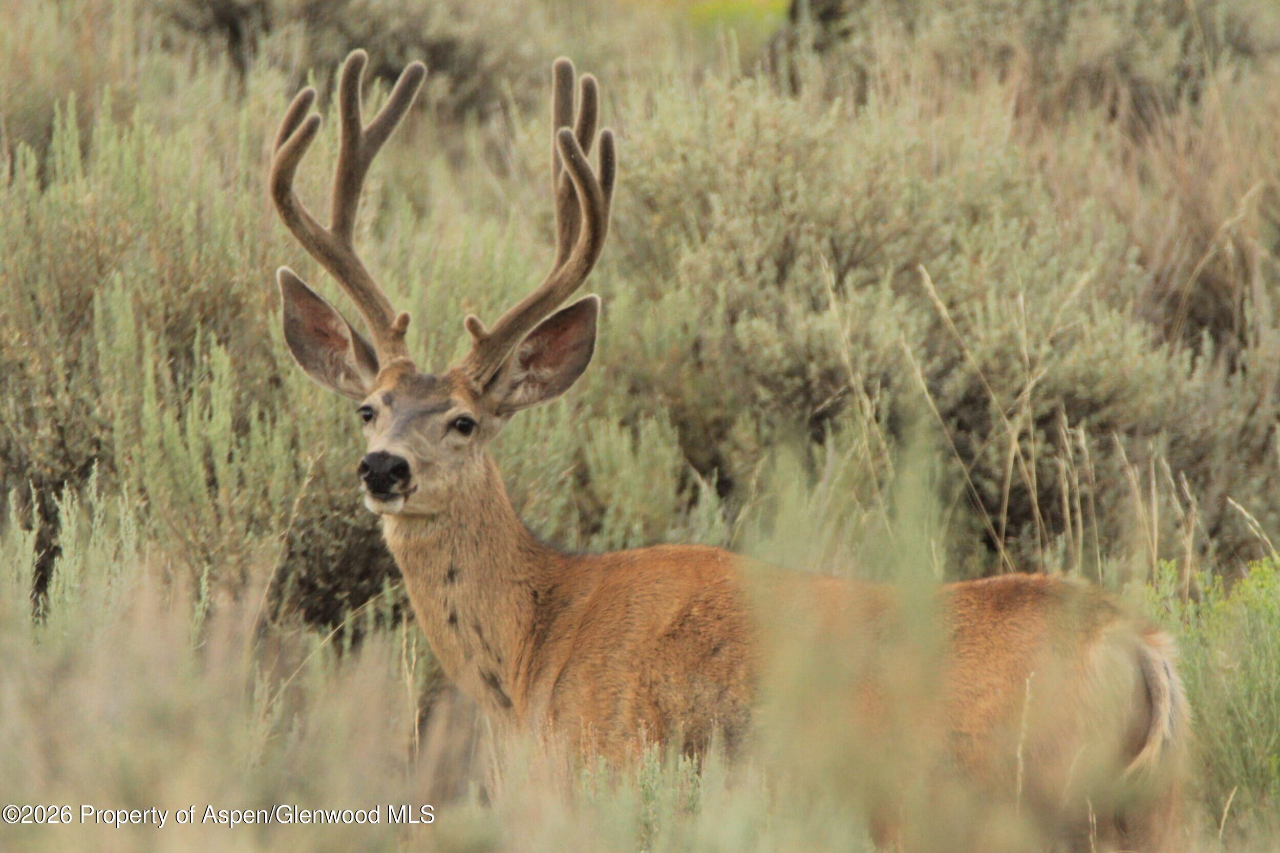 Tbd Highway 40 Craig CO 81625