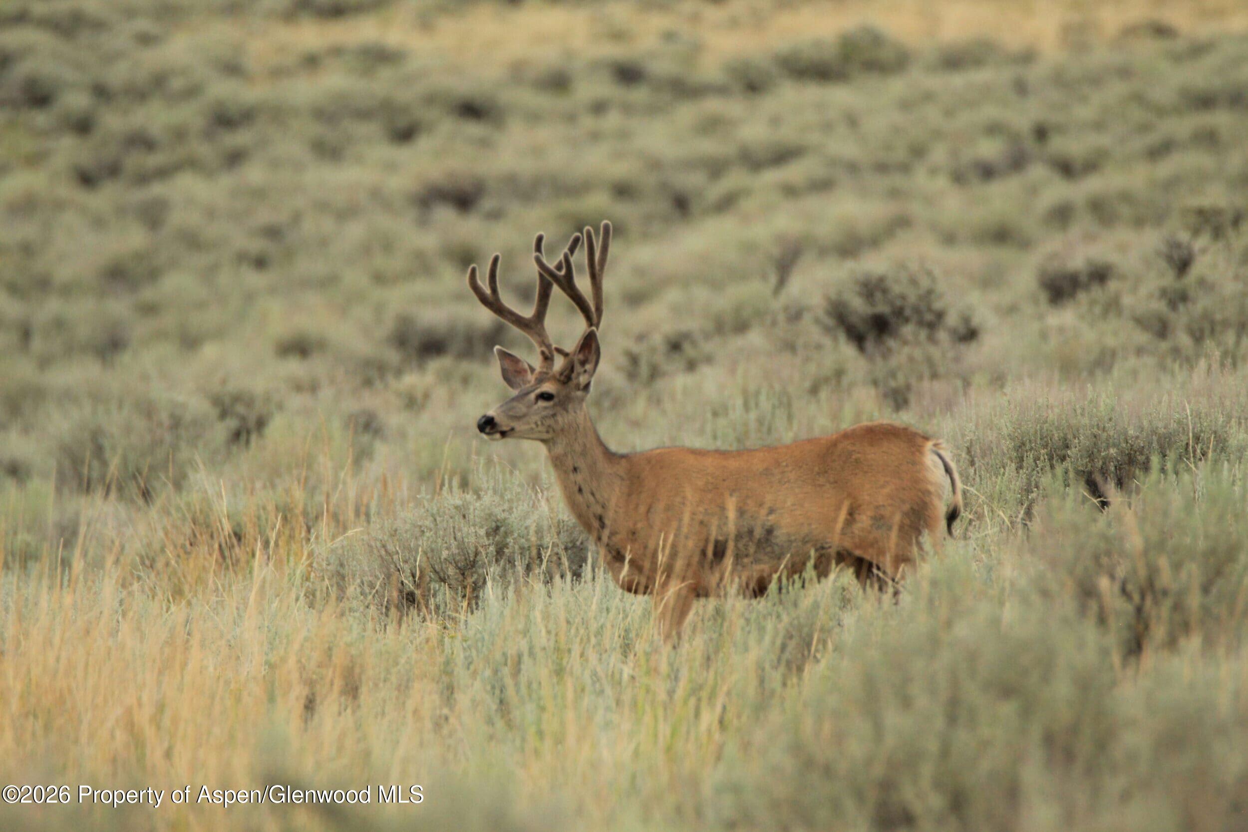 Tbd Highway 40 Craig CO 81625