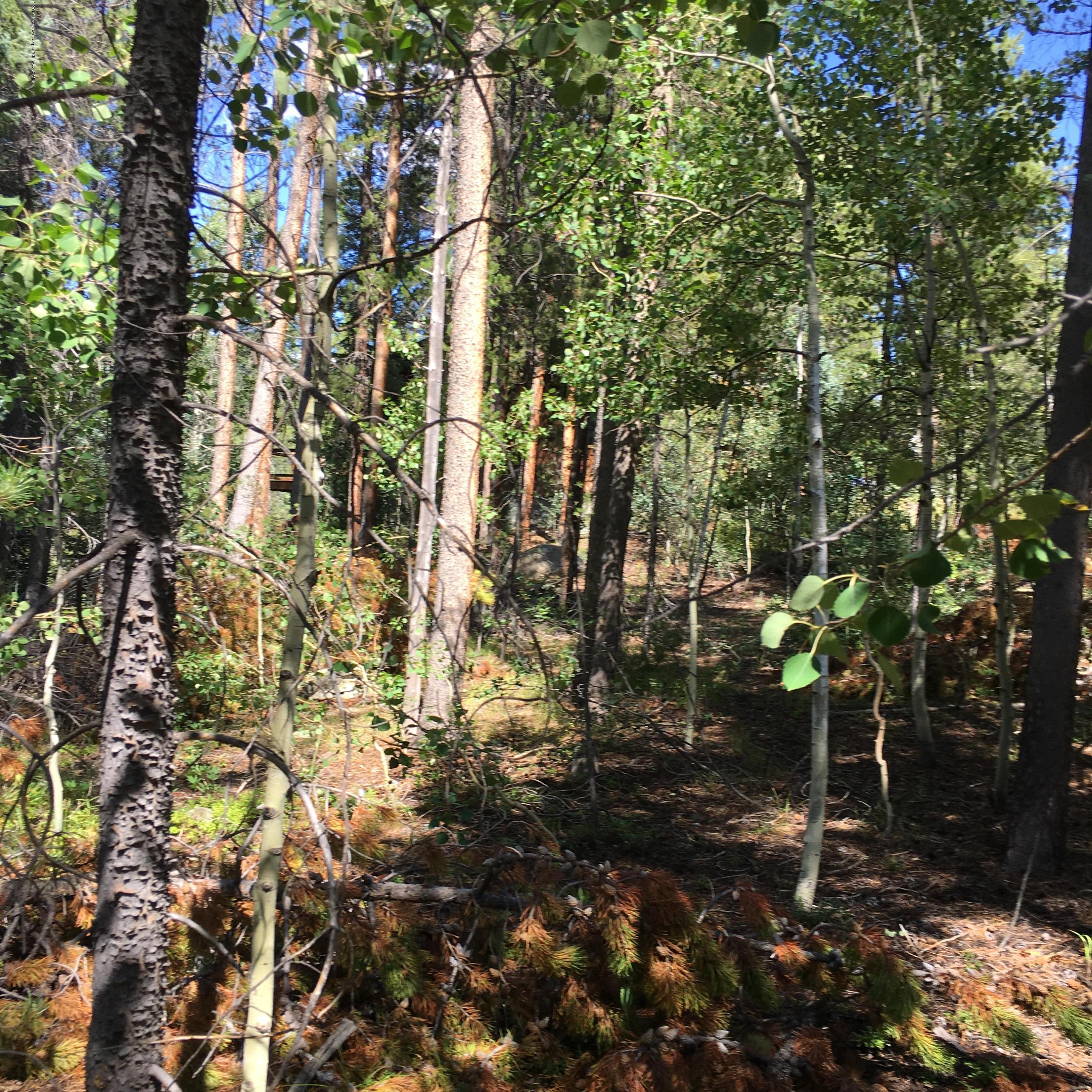 165 North Fork Spur Meredith CO 81642