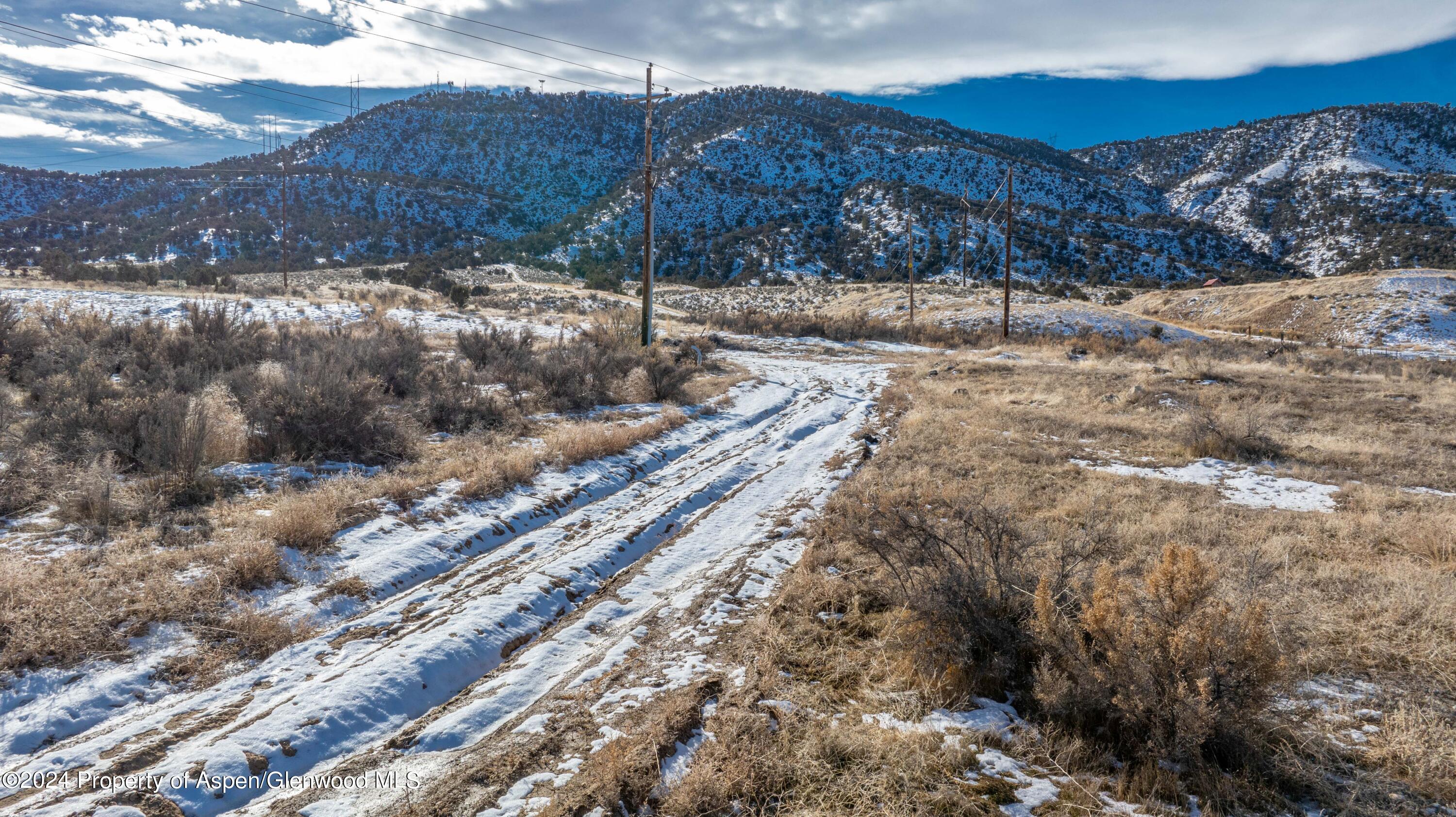 Tbd Blacktail Drive Rifle CO 81650