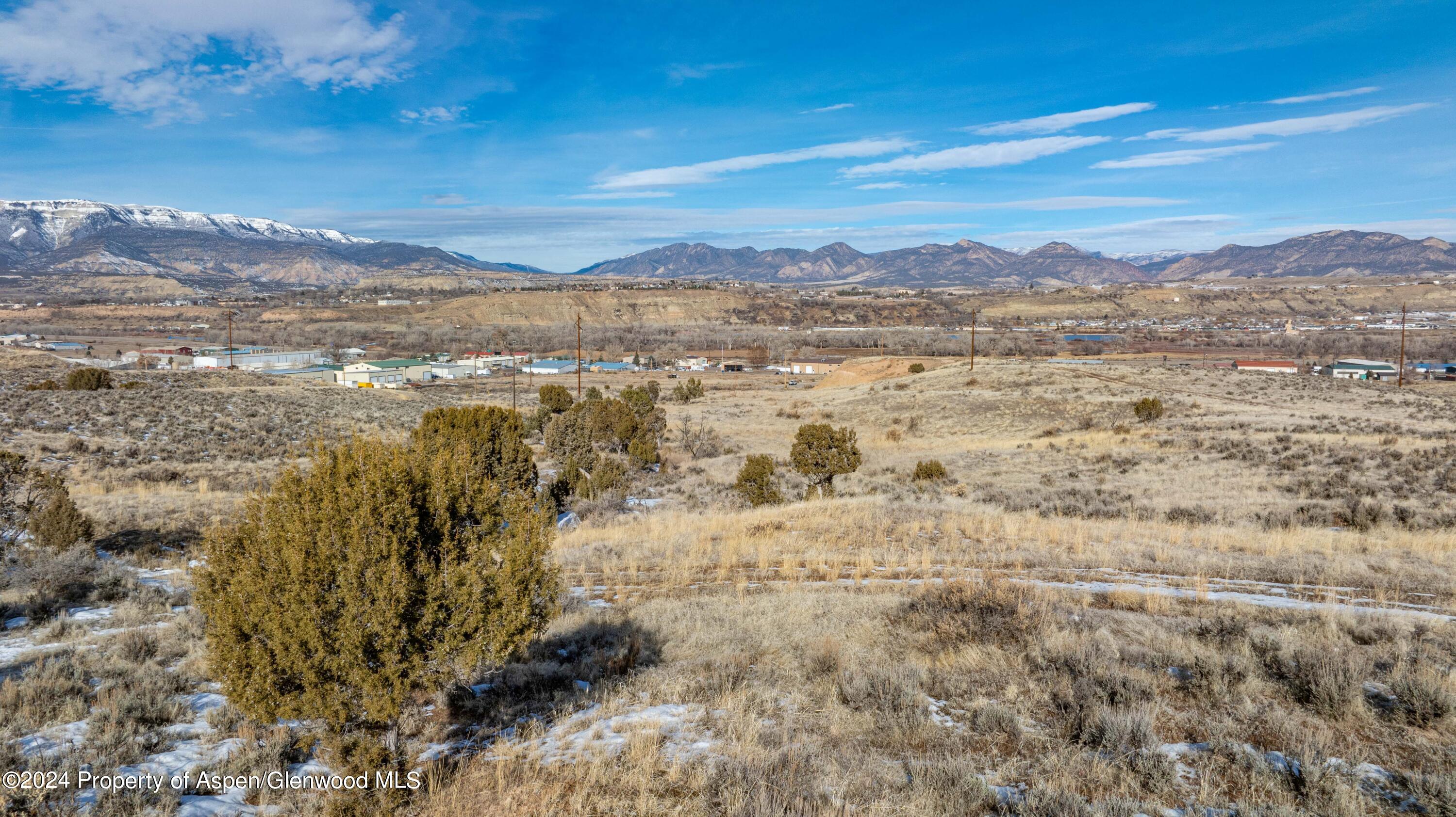 Tbd Blacktail Drive Rifle CO 81650