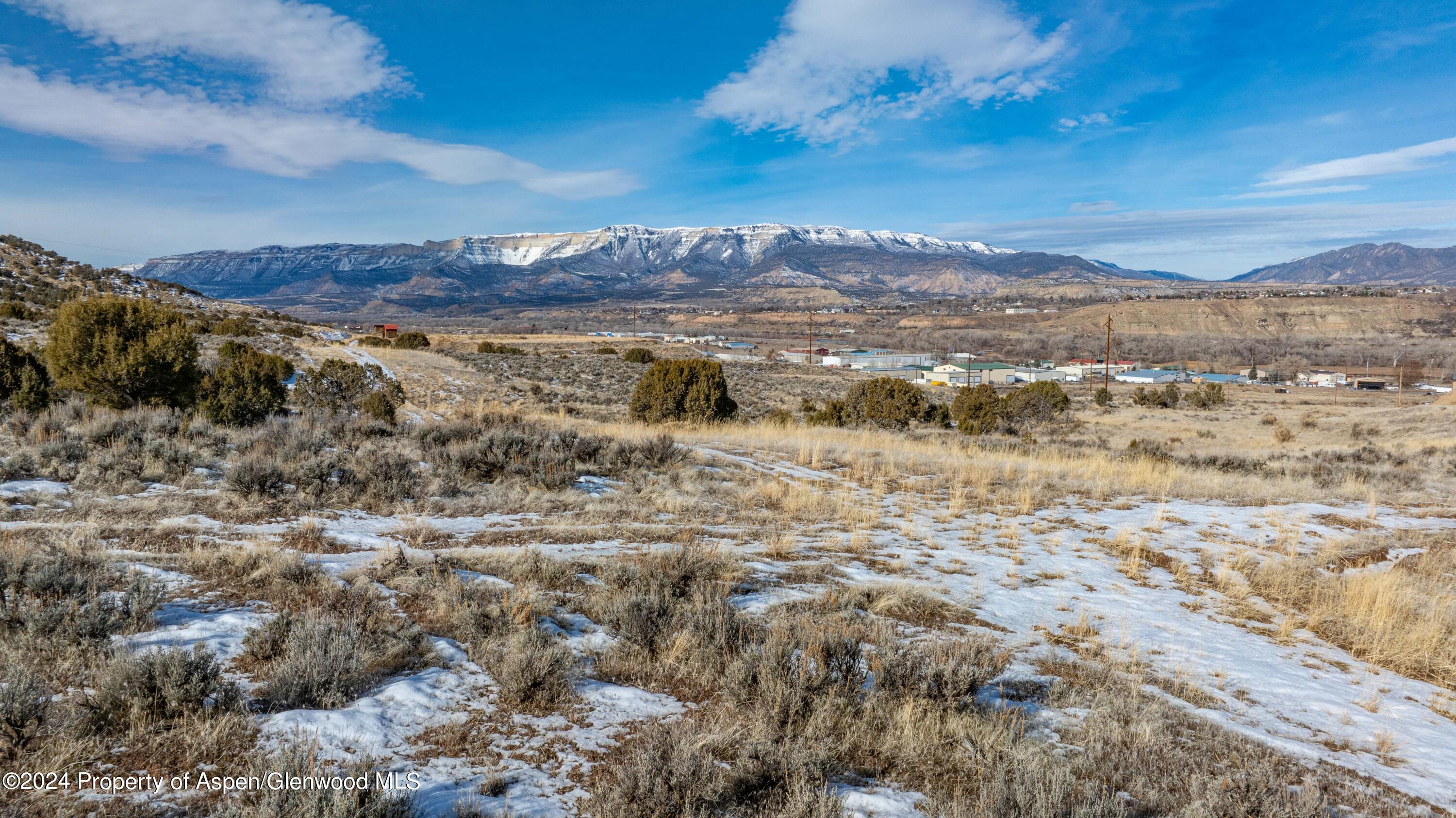 Tbd Blacktail Drive Rifle CO 81650