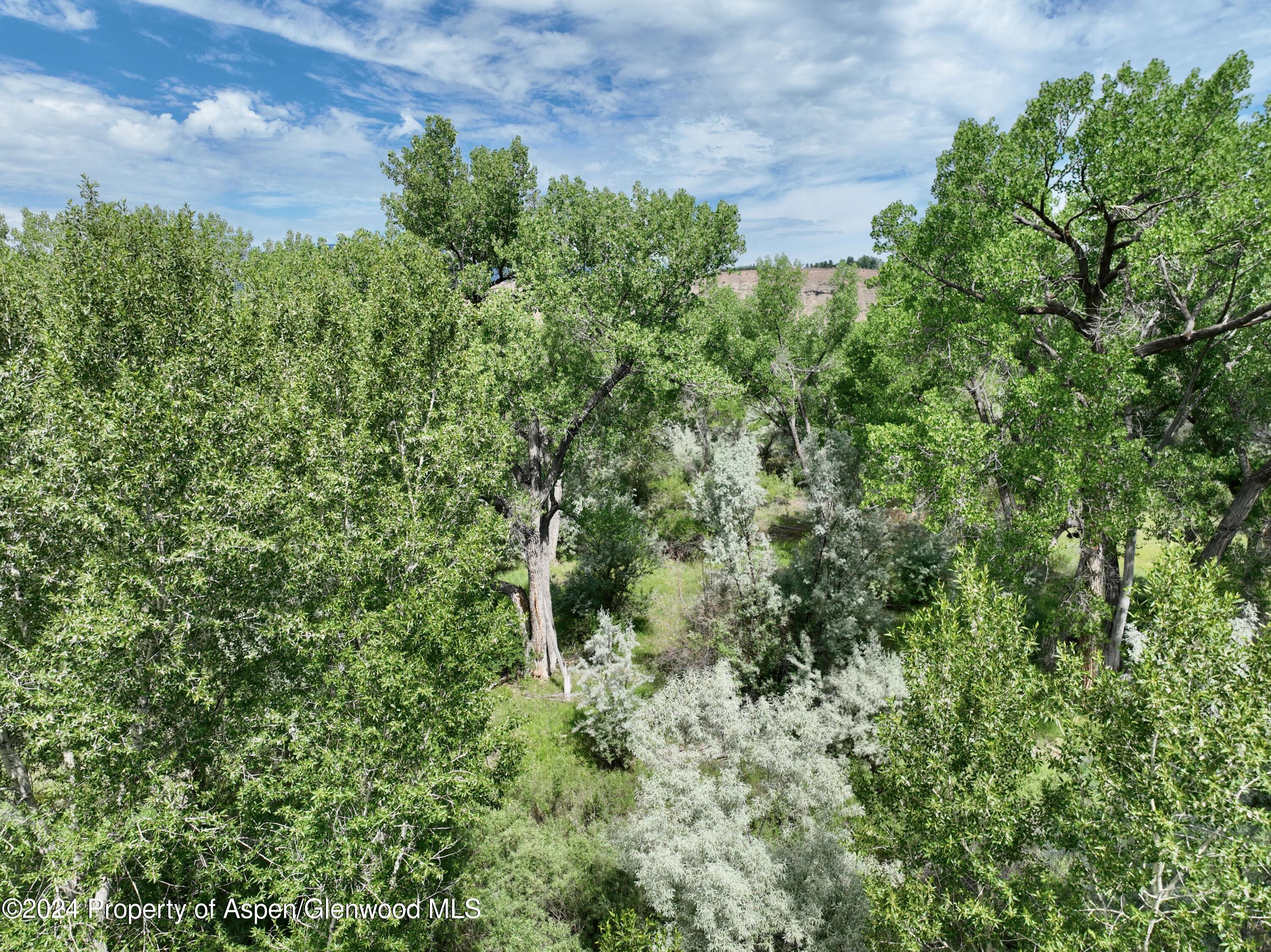 1797 N County Road 346 Rifle CO 81650