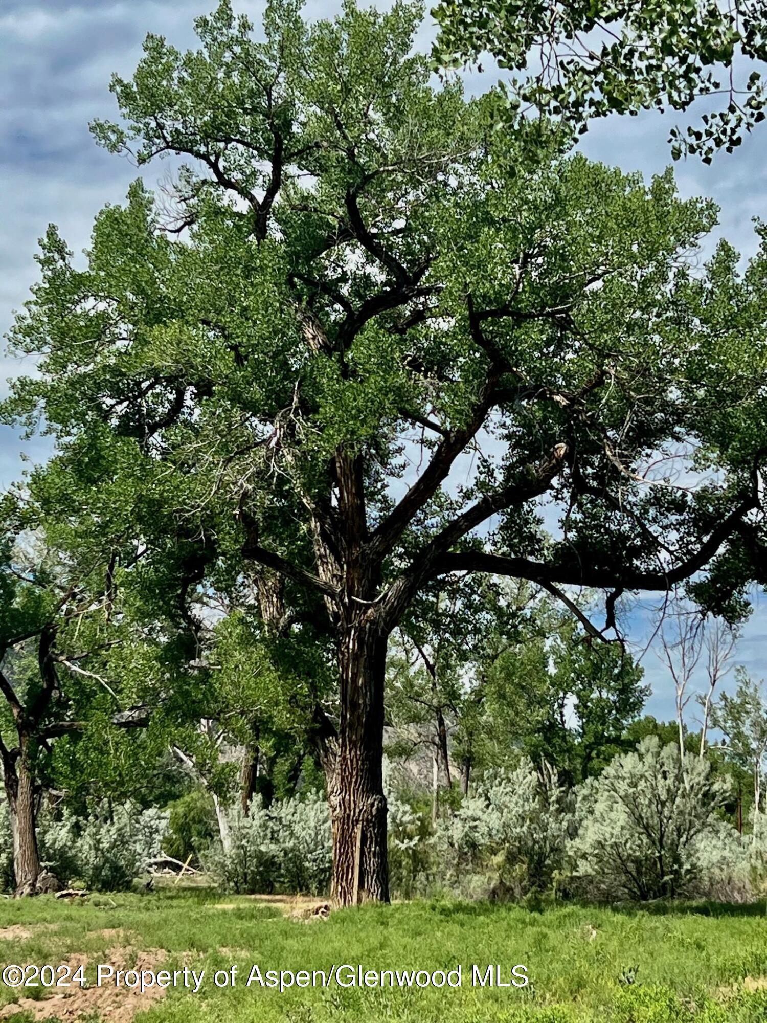 1797 N County Road 346 Rifle CO 81650