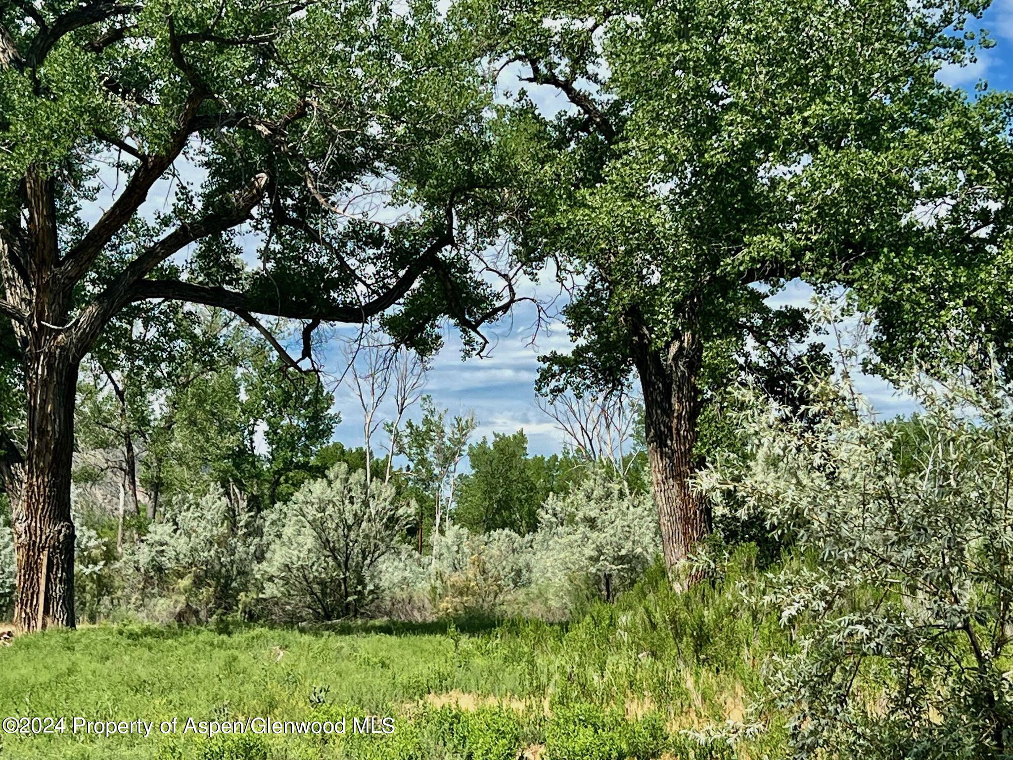 1797 N County Road 346 Rifle CO 81650