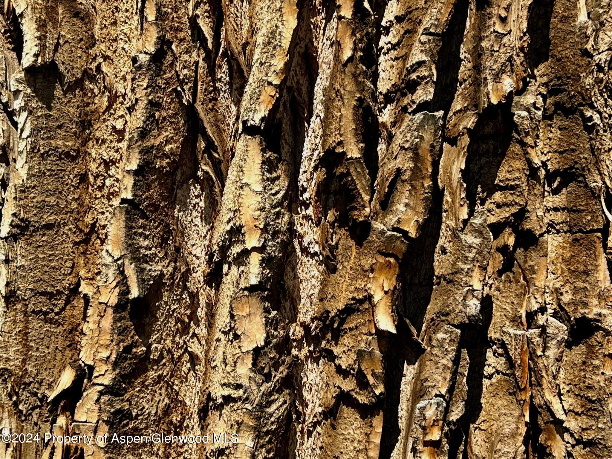 1797 N County Road 346 Rifle CO 81650