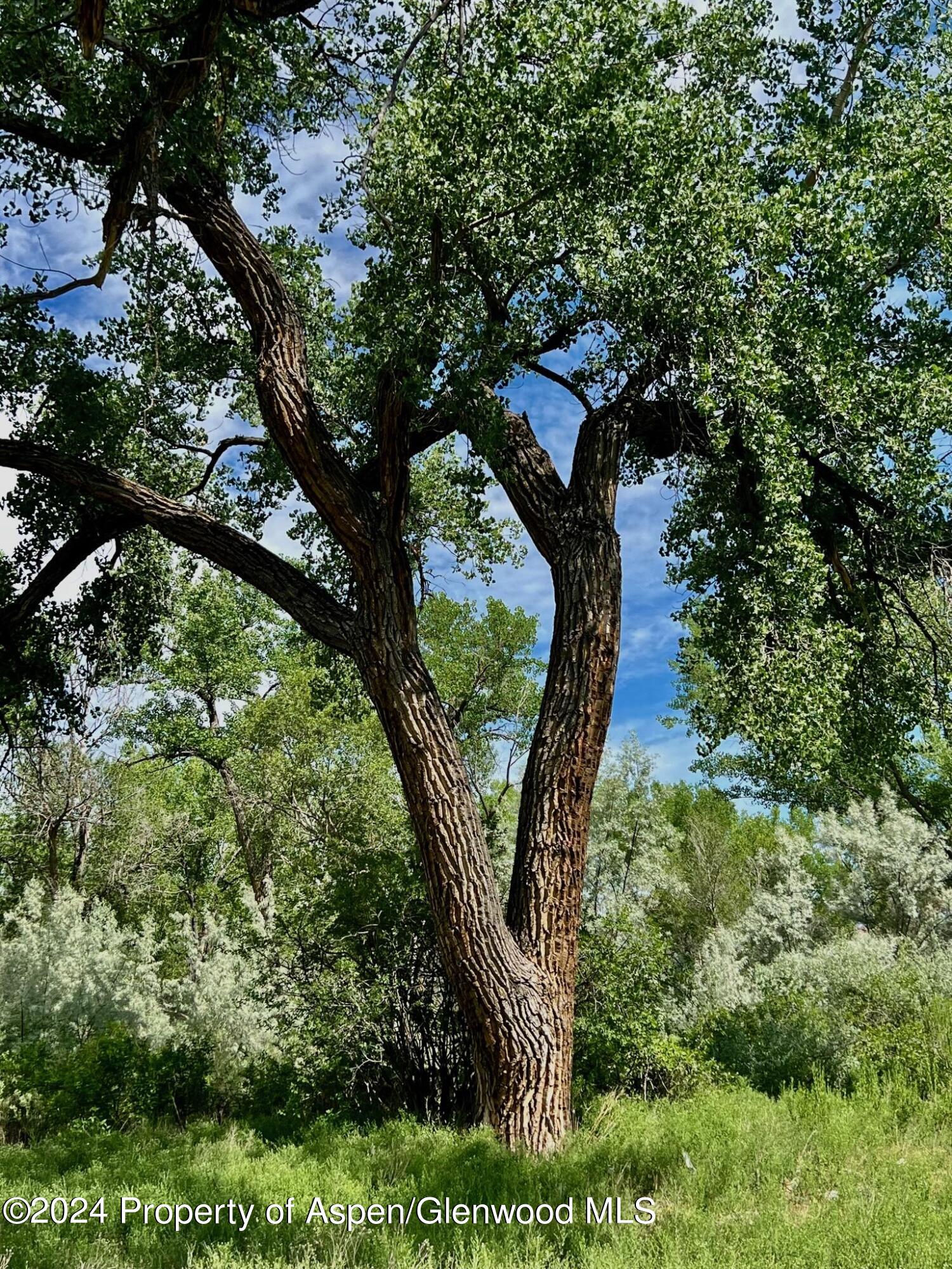 1797 N County Road 346 Rifle CO 81650