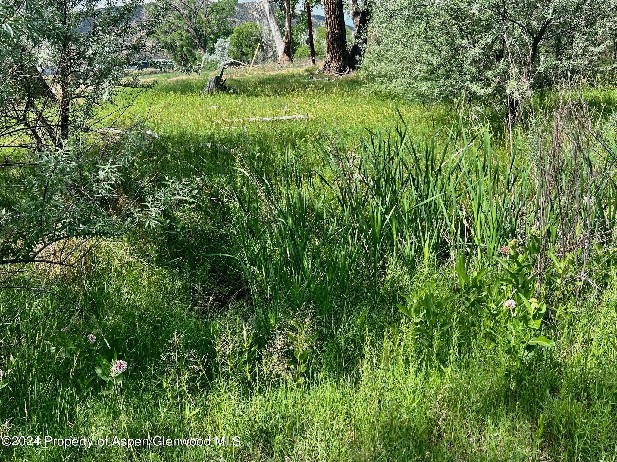 1797 N County Road 346 Rifle CO 81650