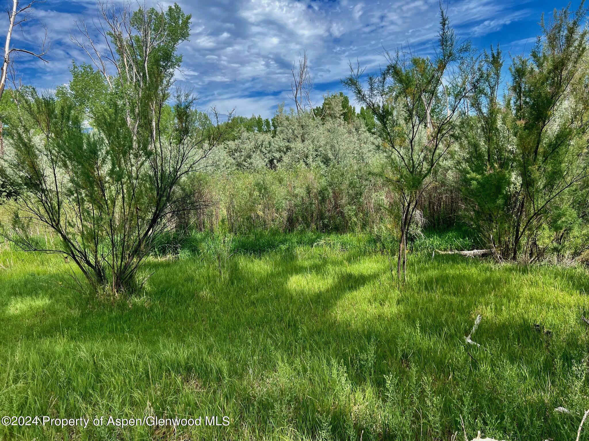 1797 N County Road 346 Rifle CO 81650