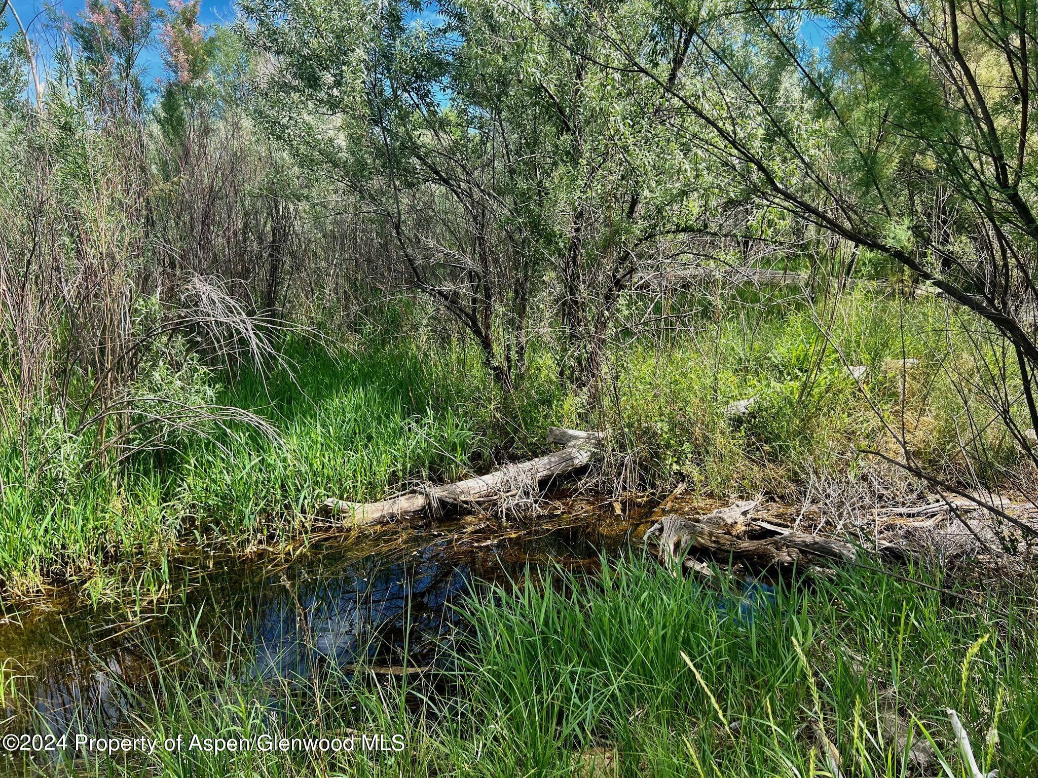 1797 N County Road 346 Rifle CO 81650