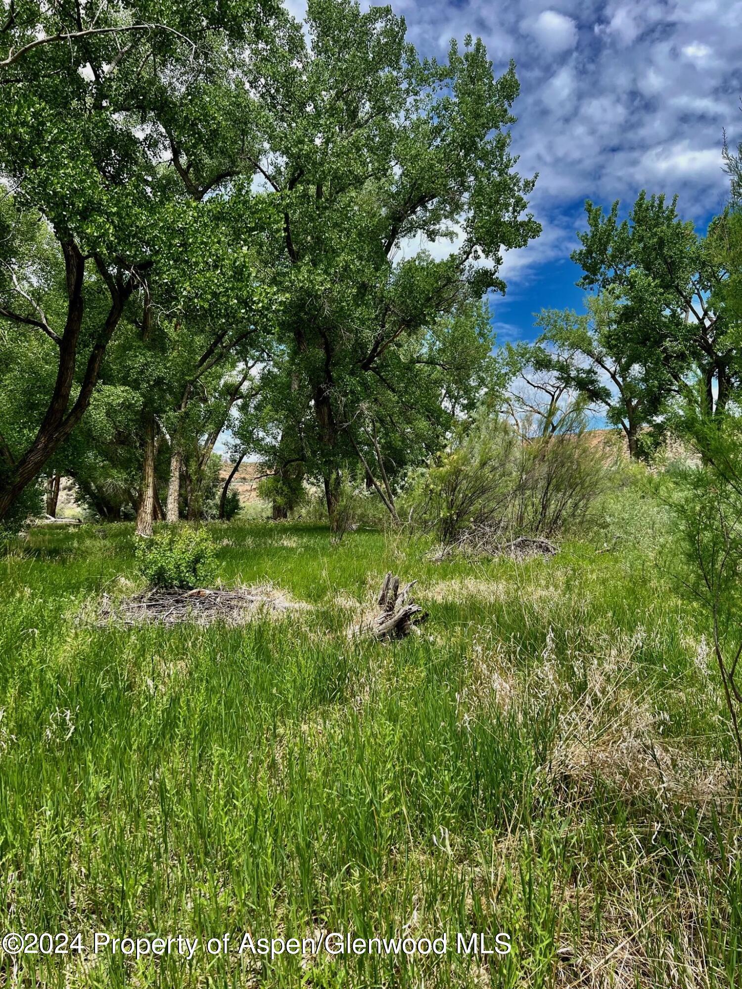 1797 N County Road 346 Rifle CO 81650