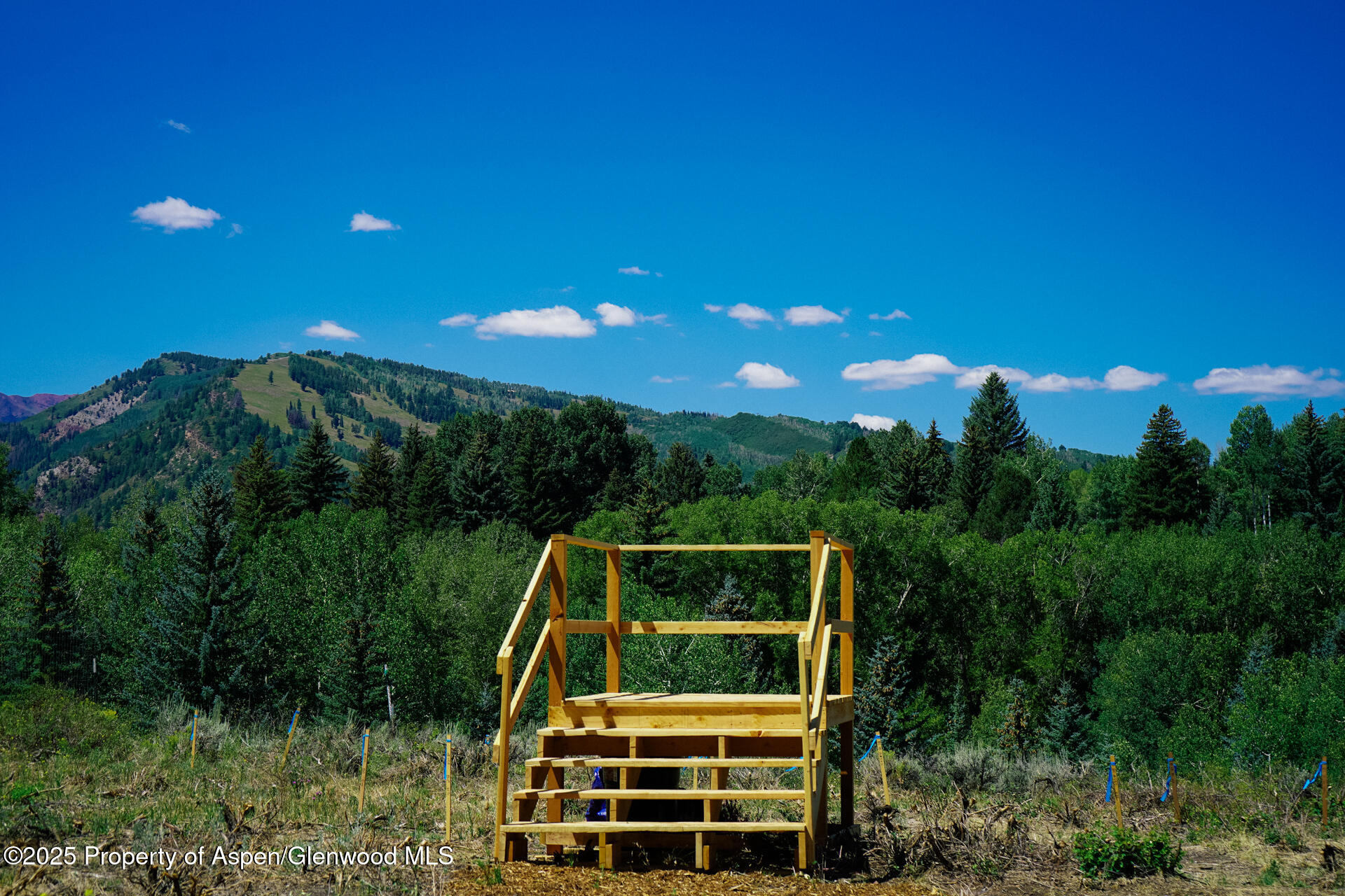 Tbd N 8th Street Aspen CO 81611