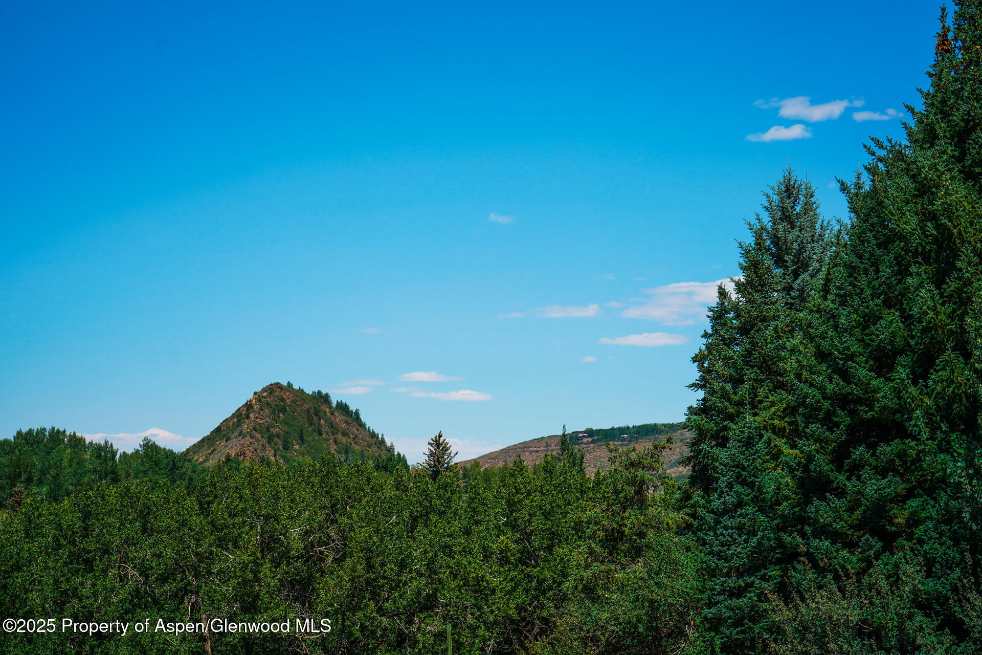 Tbd N 8th Street Aspen CO 81611