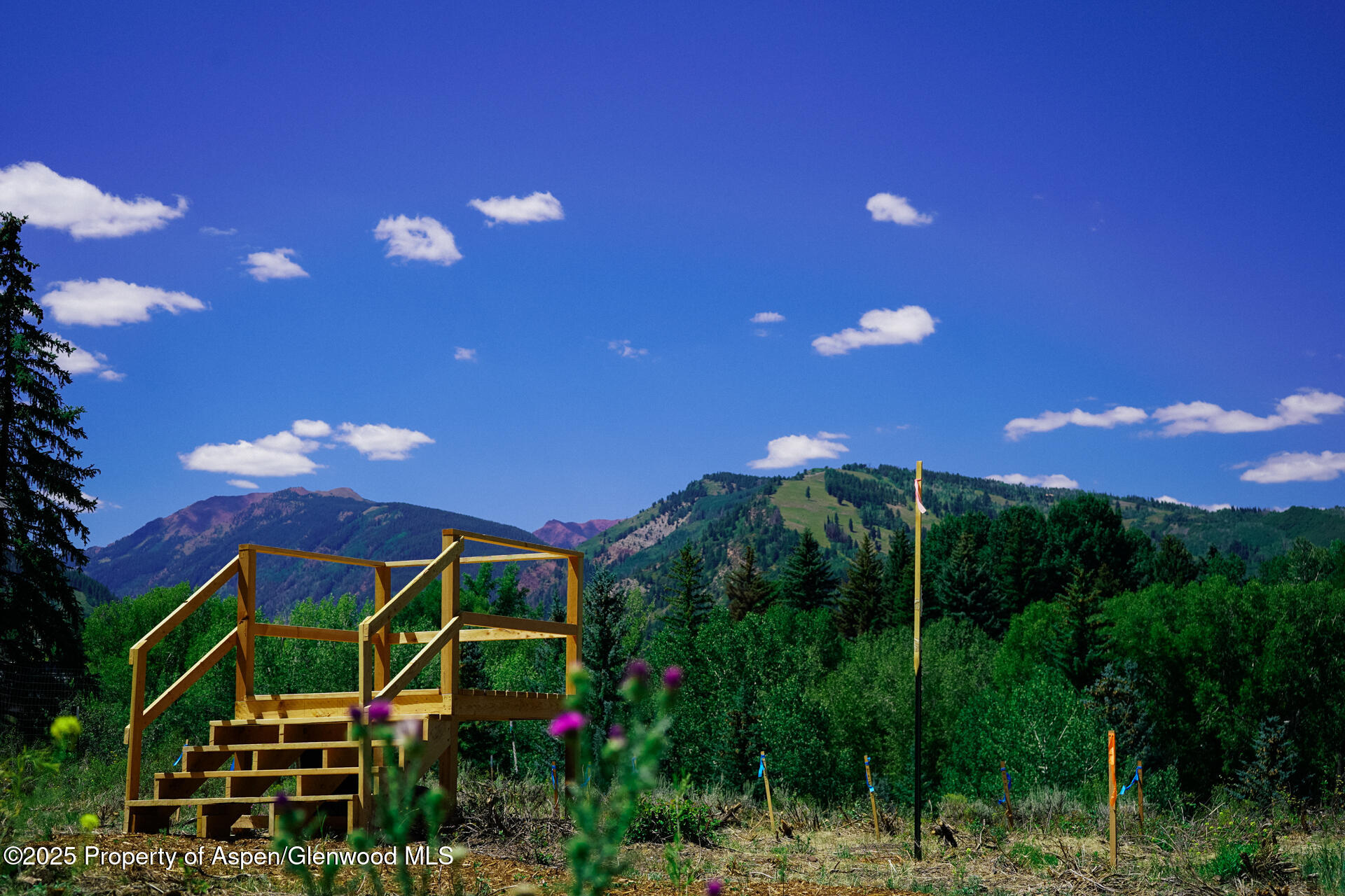 Tbd N 8th Street Aspen CO 81611