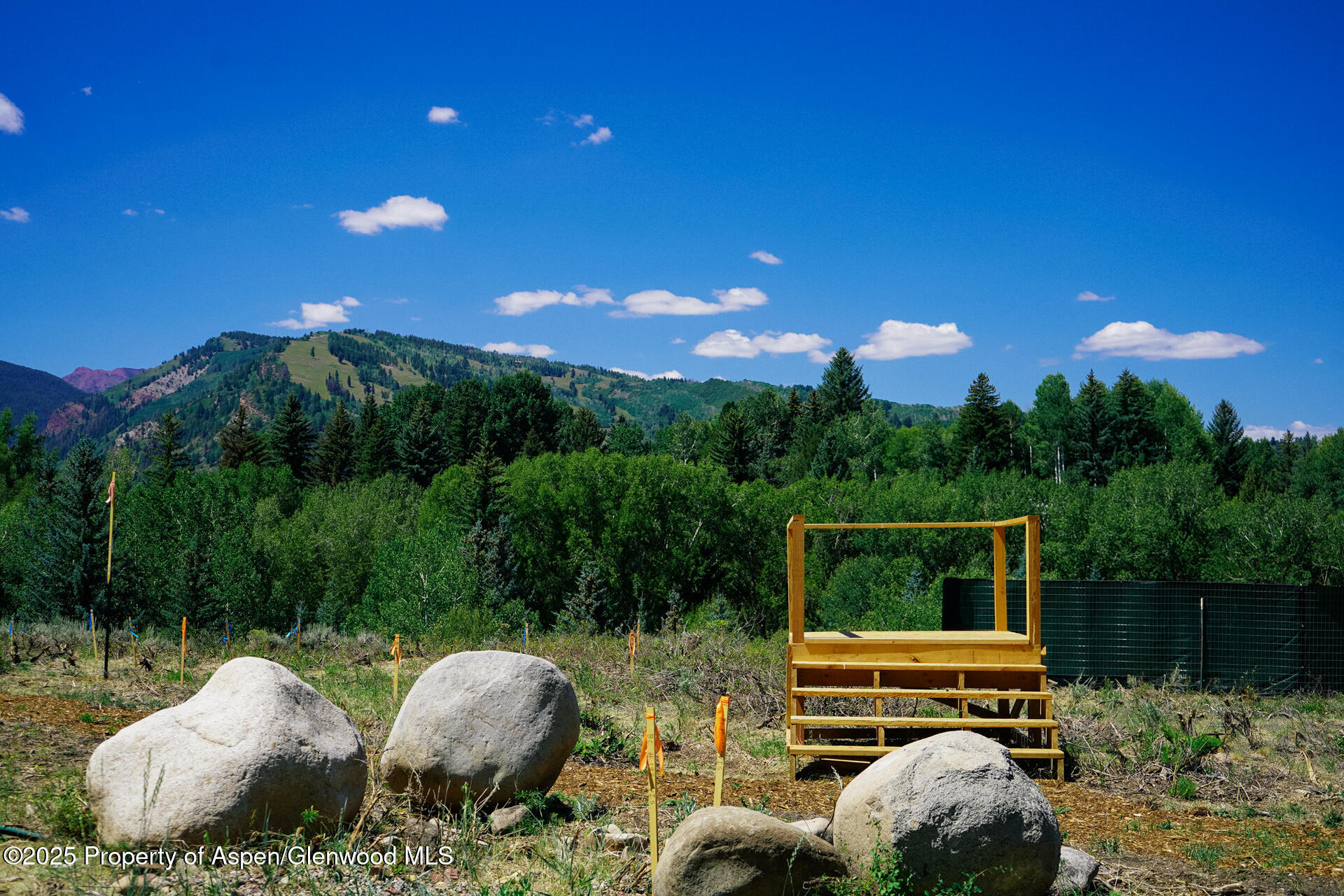 Tbd N 8th Street Aspen CO 81611