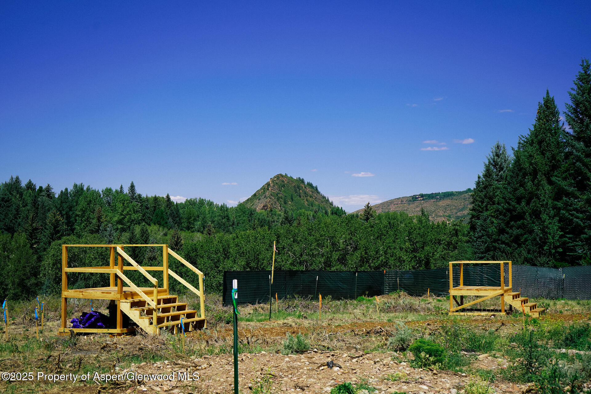 Tbd N 8th Street Aspen CO 81611