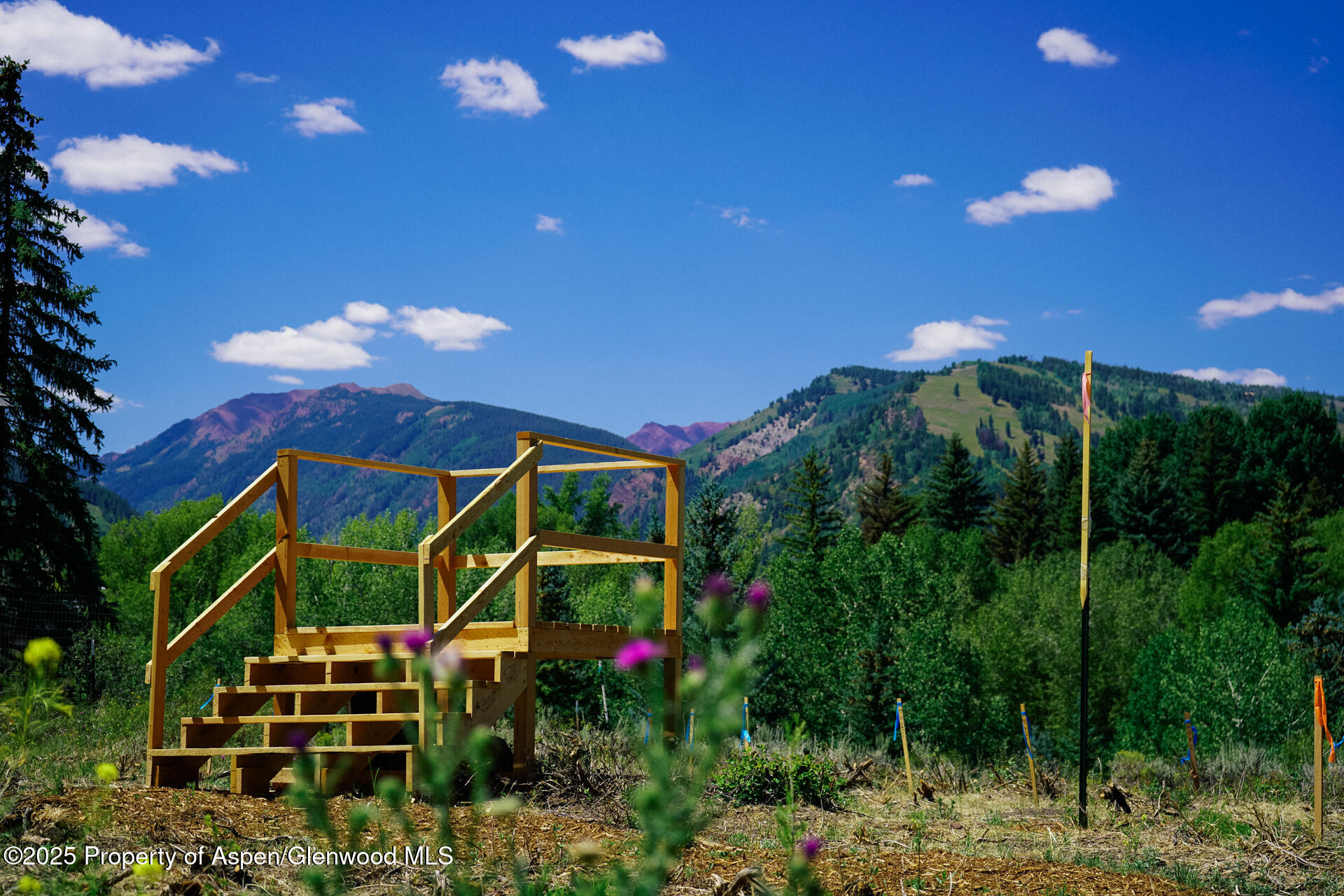 Tbd N 8th Street Aspen CO 81611