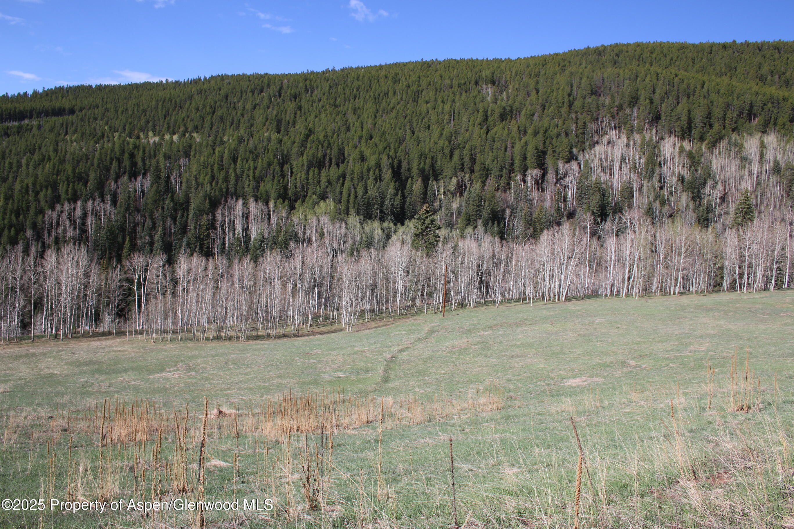 575 Mclaughlin Lane Basalt CO 81621