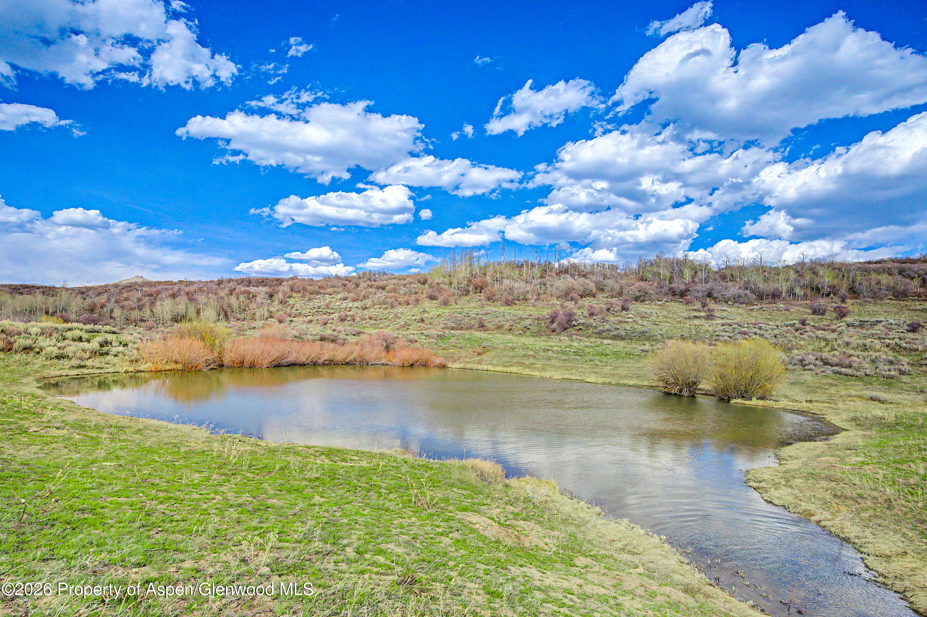 1351 Fiddleneck Drive Craig CO 81625