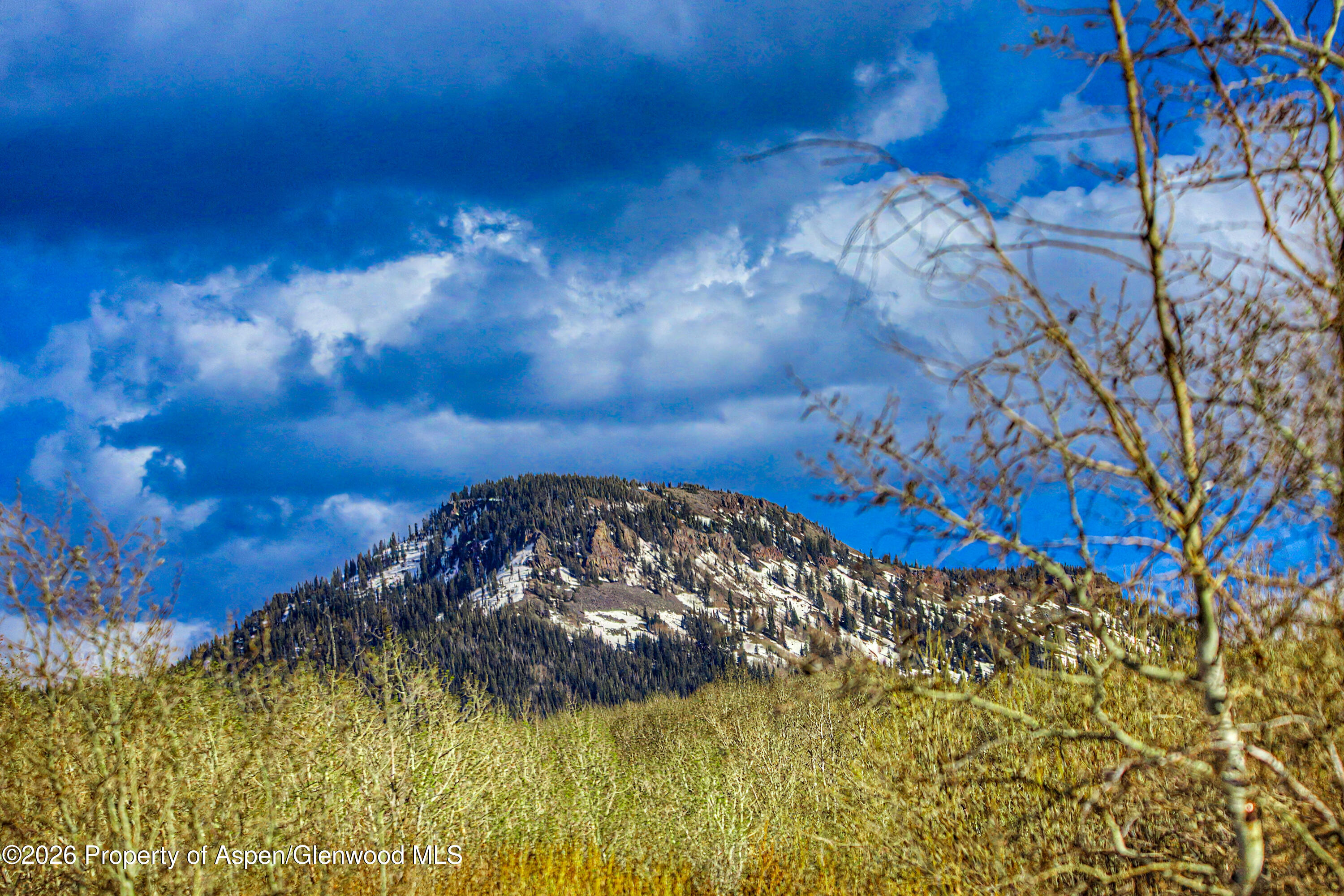 1351 Fiddleneck Drive Craig CO 81625