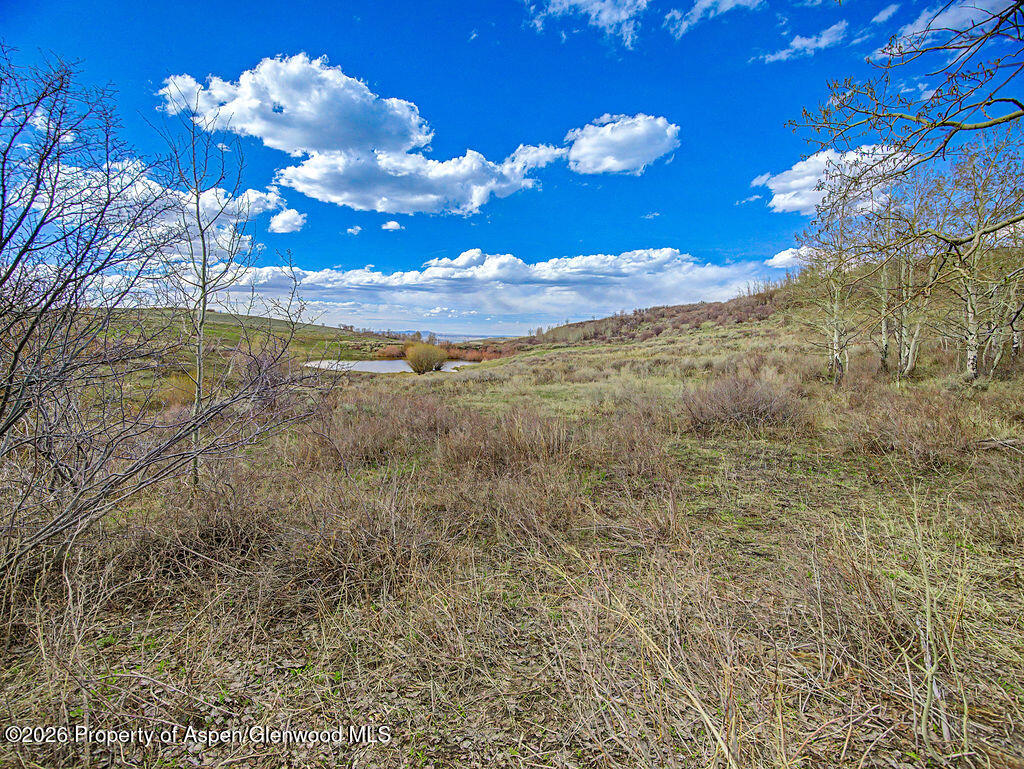 1351 Fiddleneck Drive Craig CO 81625