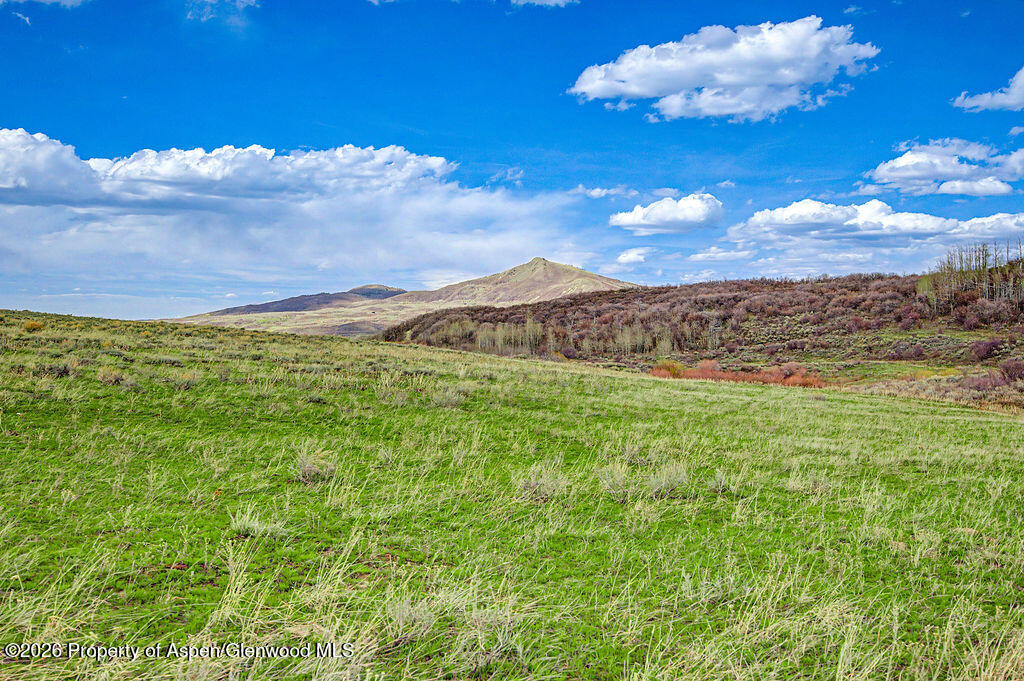 1351 Fiddleneck Drive Craig CO 81625