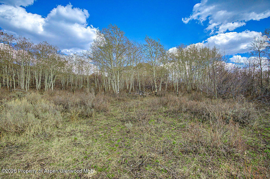 1351 Fiddleneck Drive Craig CO 81625