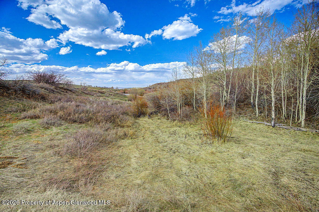 1351 Fiddleneck Drive Craig CO 81625