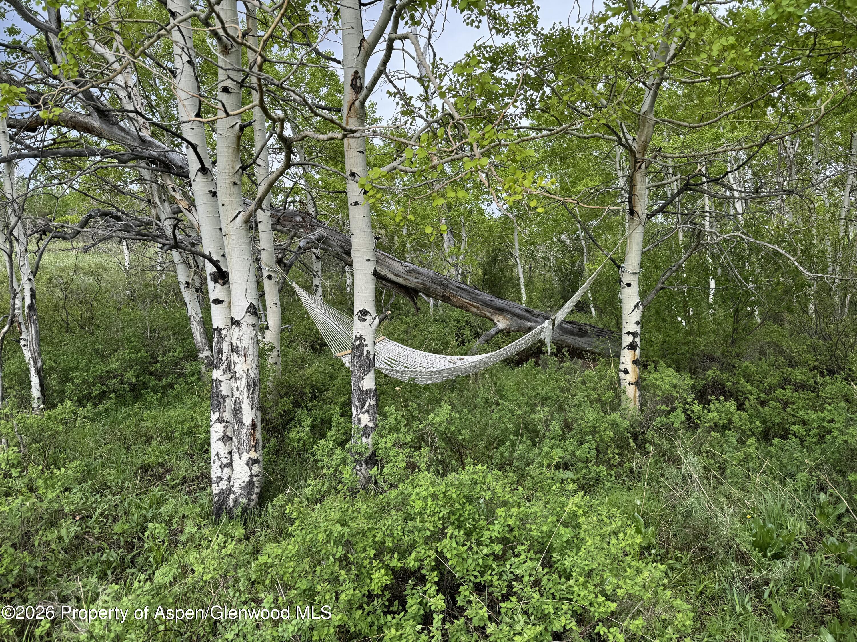 1351 Fiddleneck Drive Craig CO 81625