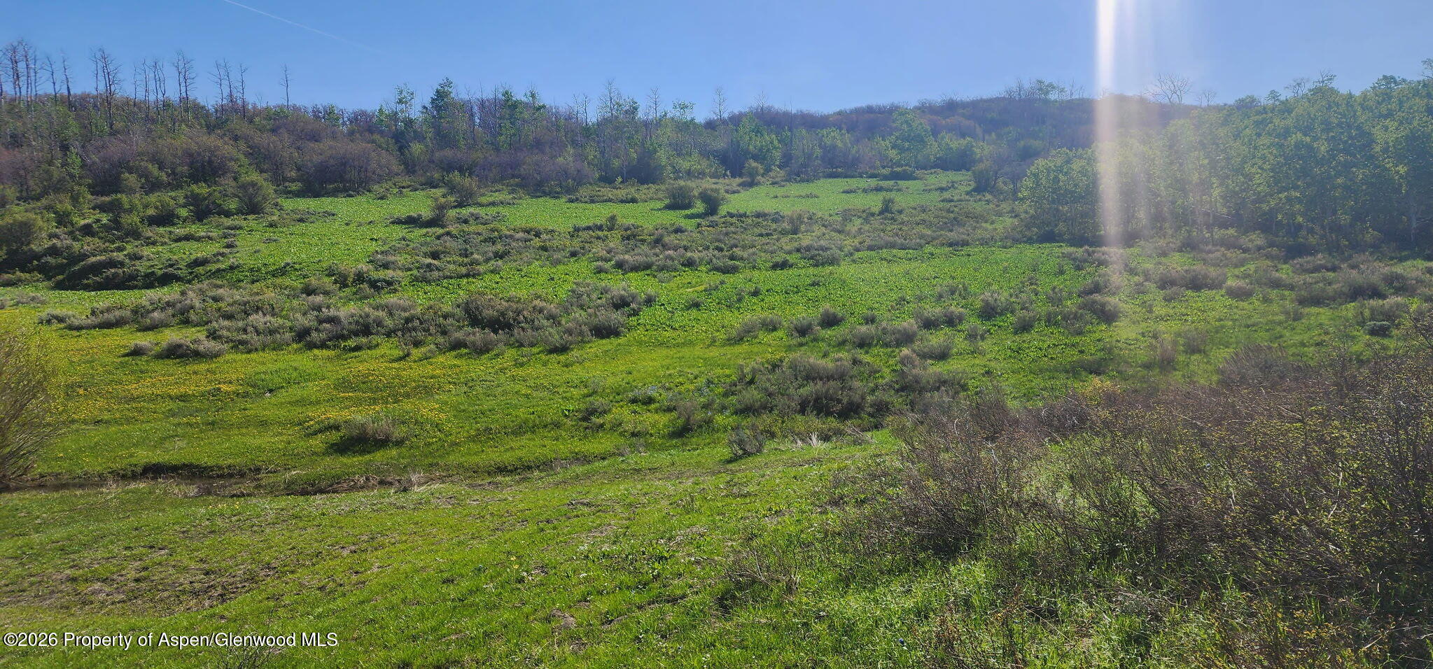 1351 Fiddleneck Drive Craig CO 81625