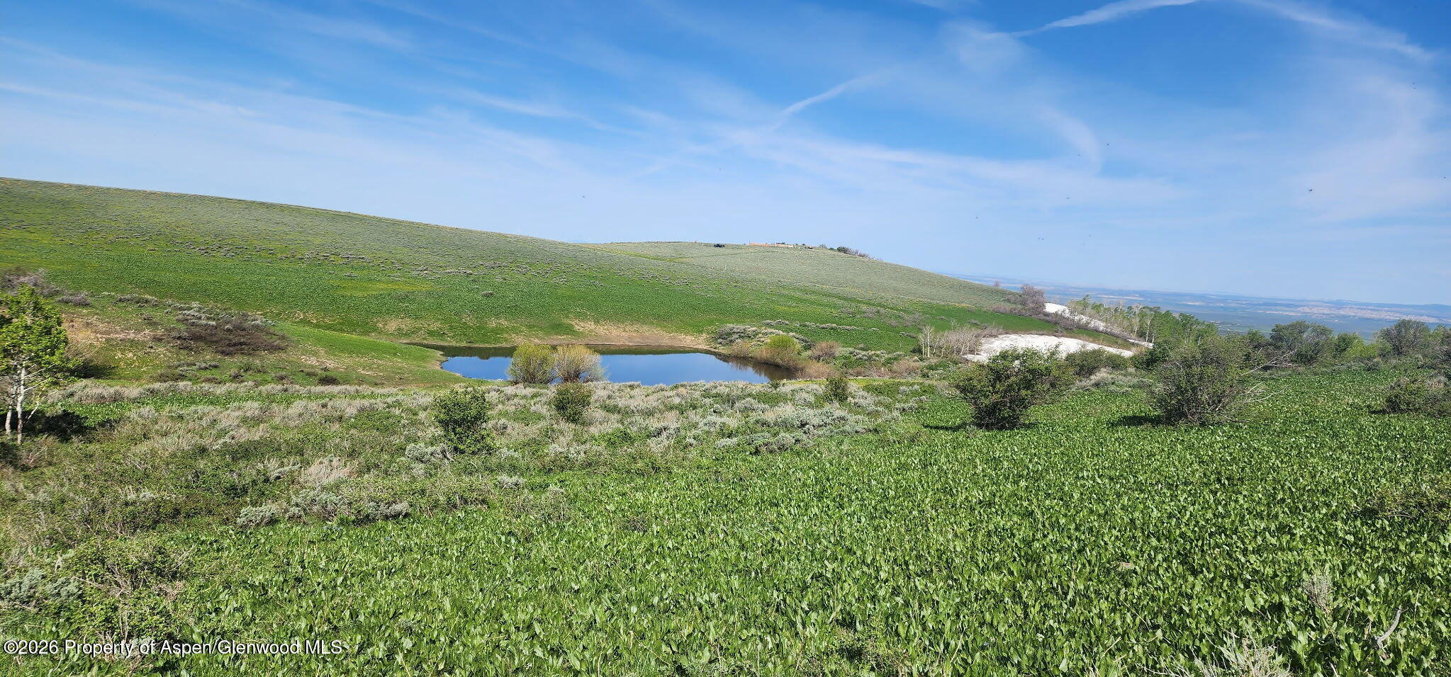 1351 Fiddleneck Drive Craig CO 81625